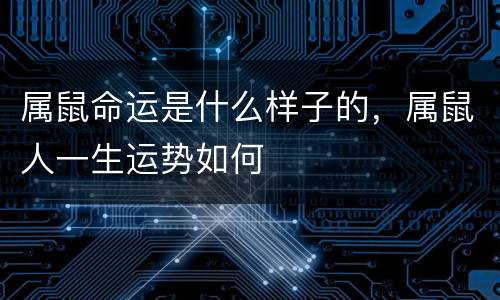 属鼠命运是什么样子的，属鼠人一生运势如何
