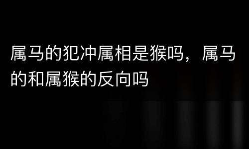属马的犯冲属相是猴吗，属马的和属猴的反向吗