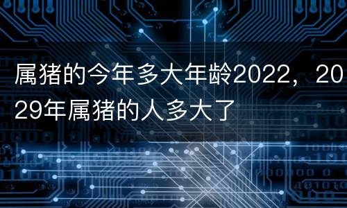 属猪的今年多大年龄2022，2029年属猪的人多大了