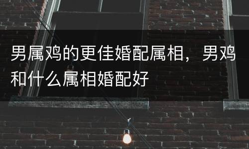 男属鸡的更佳婚配属相，男鸡和什么属相婚配好