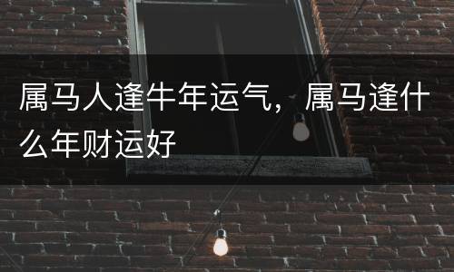 属马人逢牛年运气，属马逢什么年财运好