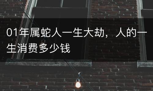 01年属蛇人一生大劫，人的一生消费多少钱