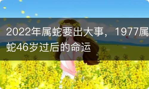 2022年属蛇要出大事，1977属蛇46岁过后的命运