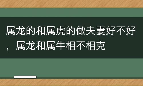 属龙的和属虎的做夫妻好不好，属龙和属牛相不相克