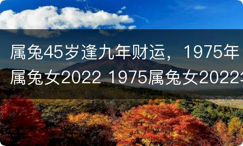属兔45岁逢九年财运，1975年属兔女2022 1975属兔女2022年46岁以后运气
