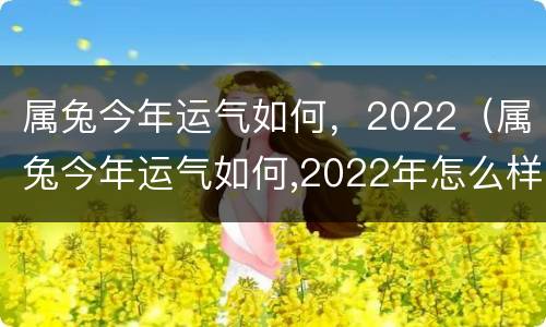 属兔今年运气如何，2022（属兔今年运气如何,2022年怎么样）