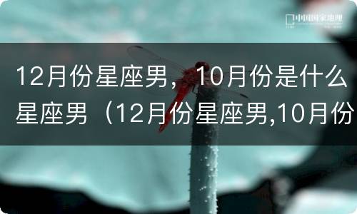 12月份星座男，10月份是什么星座男（12月份星座男,10月份是什么星座男生）