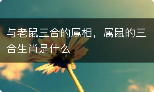 与老鼠三合的属相，属鼠的三合生肖是什么