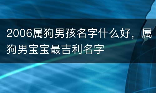 2006属狗男孩名字什么好，属狗男宝宝最吉利名字
