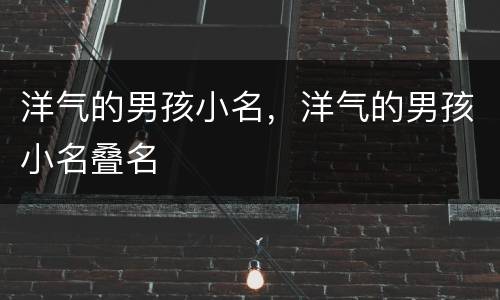 洋气的男孩小名，洋气的男孩小名叠名