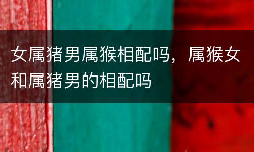 女属猪男属猴相配吗，属猴女和属猪男的相配吗