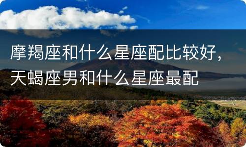 摩羯座和什么星座配比较好，天蝎座男和什么星座最配