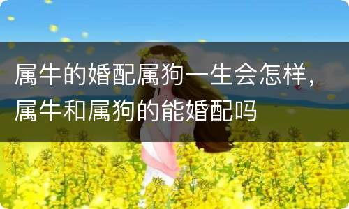 属牛的婚配属狗一生会怎样，属牛和属狗的能婚配吗