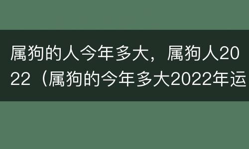 属狗的人今年多大，属狗人2022（属狗的今年多大2022年运势）