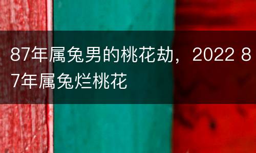 87年属兔男的桃花劫，2022 87年属兔烂桃花