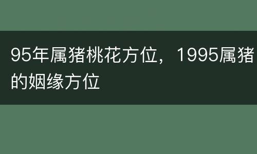 95年属猪桃花方位，1995属猪的姻缘方位