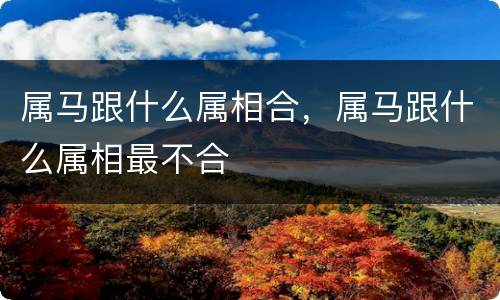 属马跟什么属相合，属马跟什么属相最不合