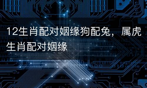 12生肖配对姻缘狗配兔，属虎生肖配对姻缘