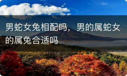 男蛇女兔相配吗，男的属蛇女的属兔合适吗