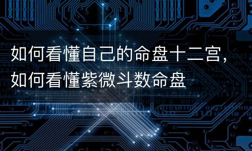 如何看懂自己的命盘十二宫，如何看懂紫微斗数命盘