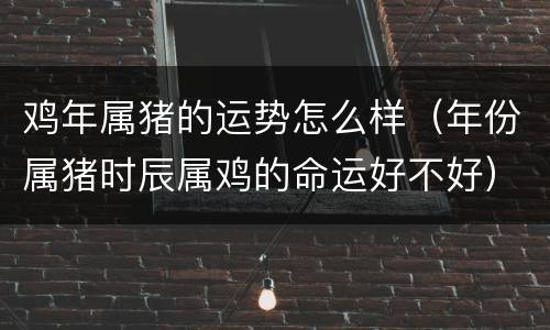 鸡年属猪的运势怎么样（年份属猪时辰属鸡的命运好不好）