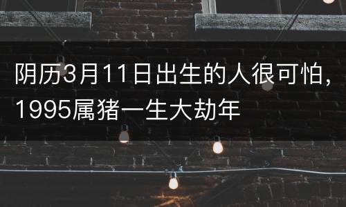 阴历3月11日出生的人很可怕，1995属猪一生大劫年