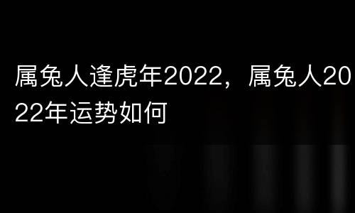属兔人逢虎年2022，属兔人2022年运势如何