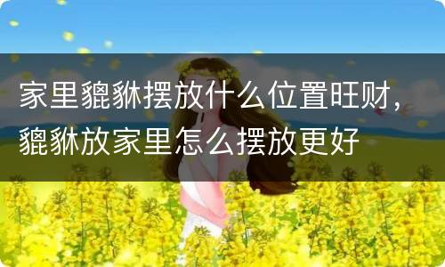 家里貔貅摆放什么位置旺财，貔貅放家里怎么摆放更好