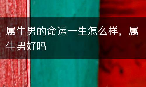 属牛男的命运一生怎么样，属牛男好吗
