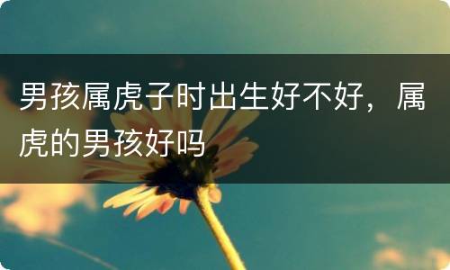 男孩属虎子时出生好不好，属虎的男孩好吗