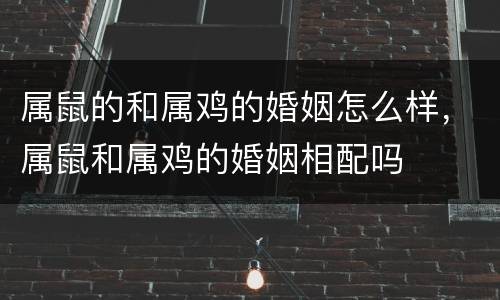 属鼠的和属鸡的婚姻怎么样，属鼠和属鸡的婚姻相配吗