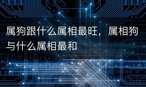 属狗跟什么属相最旺，属相狗与什么属相最和