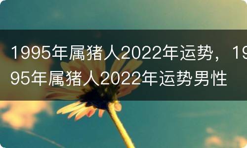 1995年属猪人2022年运势，1995年属猪人2022年运势男性