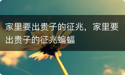 家里要出贵子的征兆，家里要出贵子的征兆蝙蝠