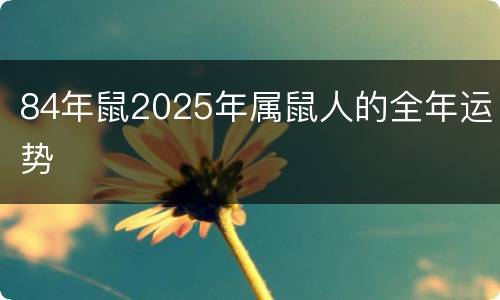 84年鼠2025年属鼠人的全年运势