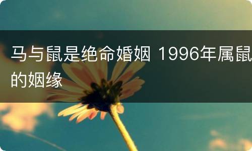 马与鼠是绝命婚姻 1996年属鼠的姻缘