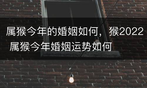 属猴今年的婚姻如何，猴2022 属猴今年婚姻运势如何