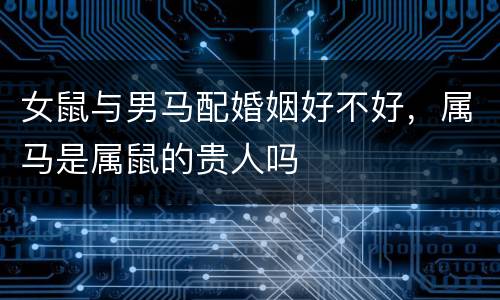 女鼠与男马配婚姻好不好，属马是属鼠的贵人吗