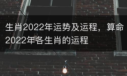 生肖2022年运势及运程，算命2022年各生肖的运程