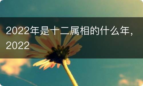 2022年是十二属相的什么年，2022