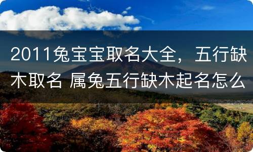 2011兔宝宝取名大全，五行缺木取名 属兔五行缺木起名怎么补