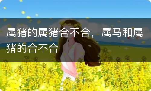 属猪的属猪合不合，属马和属猪的合不合