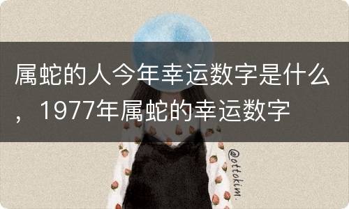属蛇的人今年幸运数字是什么，1977年属蛇的幸运数字