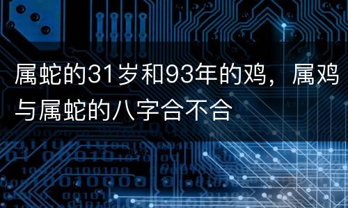 属蛇的31岁和93年的鸡，属鸡与属蛇的八字合不合