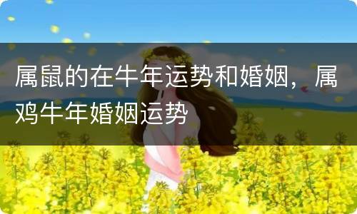 属鼠的在牛年运势和婚姻，属鸡牛年婚姻运势
