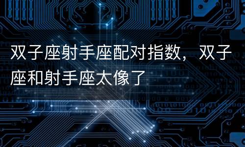 双子座射手座配对指数，双子座和射手座太像了