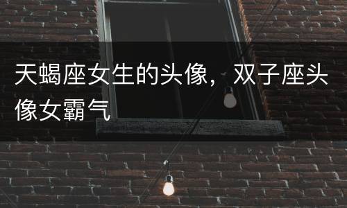 天蝎座女生的头像，双子座头像女霸气