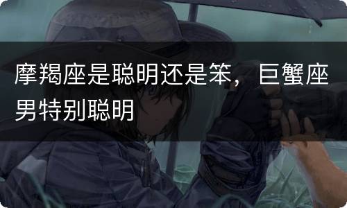 摩羯座是聪明还是笨，巨蟹座男特别聪明