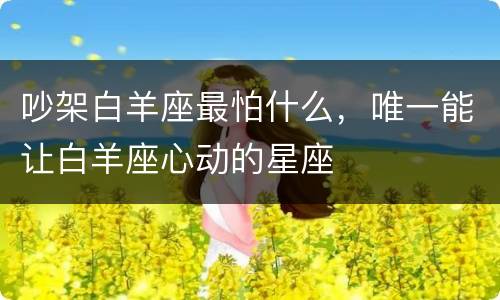 吵架白羊座最怕什么，唯一能让白羊座心动的星座