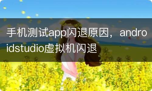 手机测试app闪退原因，androidstudio虚拟机闪退